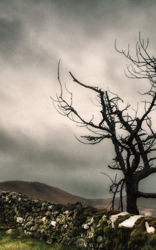 Melancholy in the Highlands by Karim Carella