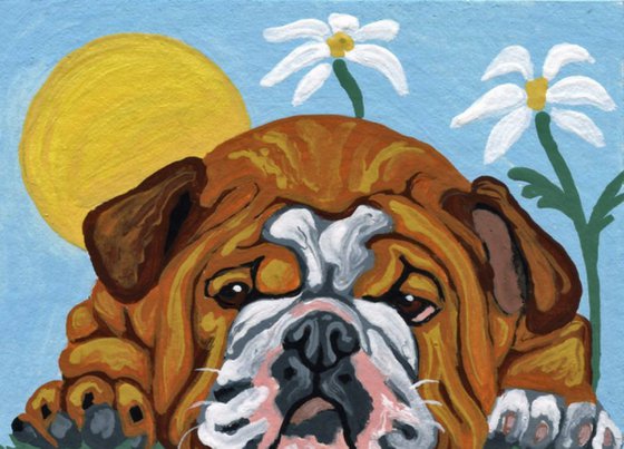 ACEO ATC Original Miniature Painting English Bulldog Pet Dog Art-Carla Smale