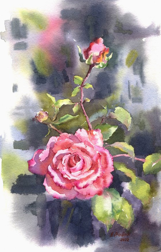 Ukrainian watercolour. Rose