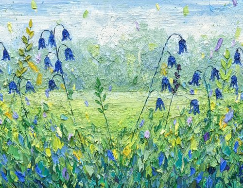 Bluebell fields by Paige Castile