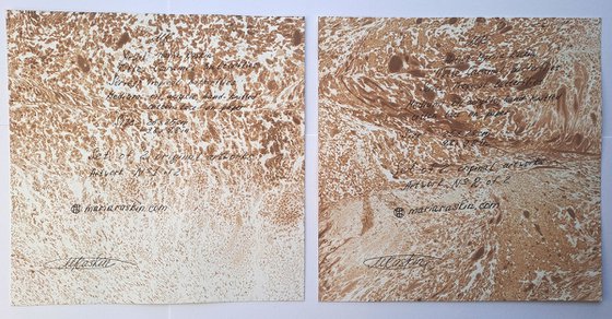 Set of 2 «Caramel Butterflies»