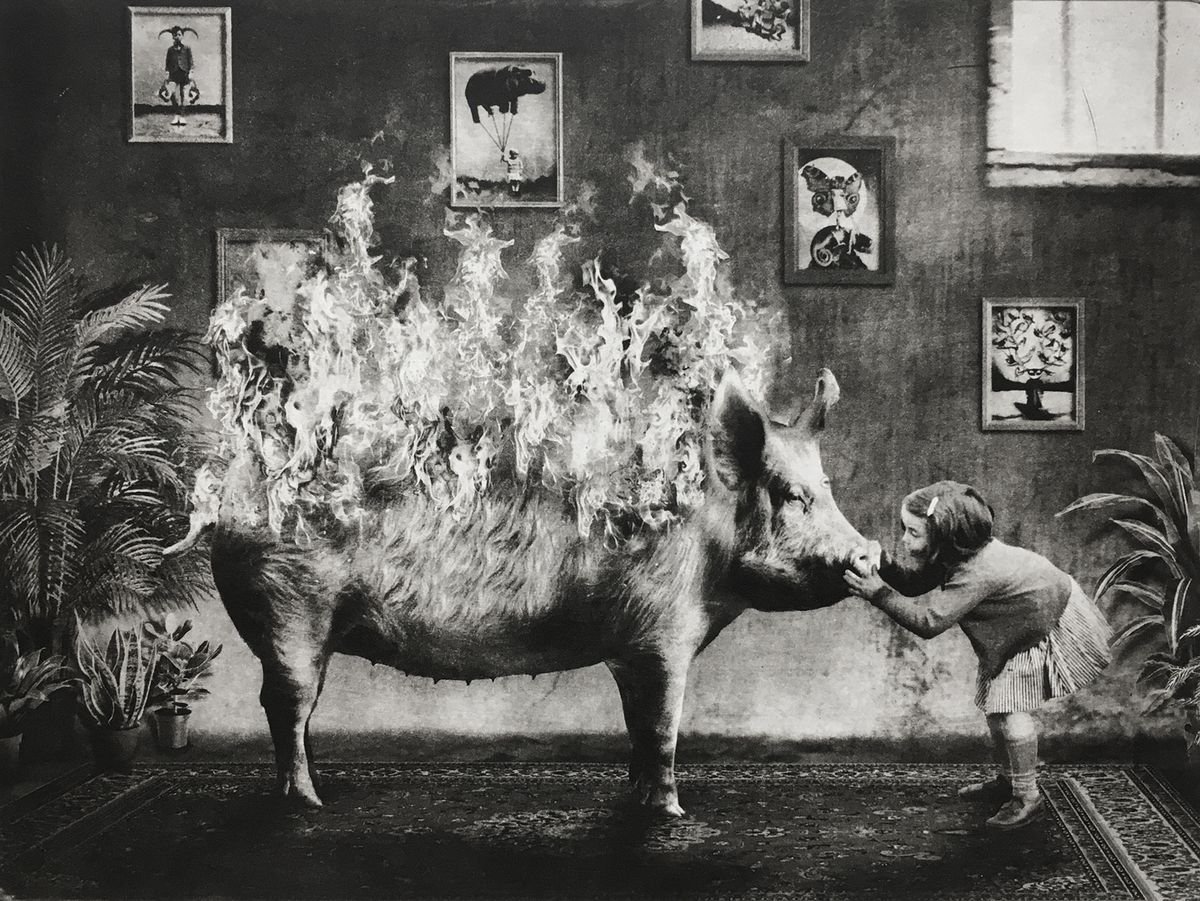 Surrealistic Animal Etchings & Engravings By Jaco Putker, 13 X 10, Interior No.53, Original Artwork