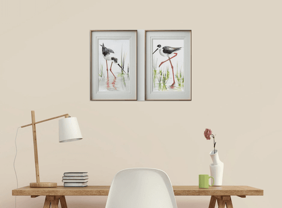 A pair of Black-necked stilt