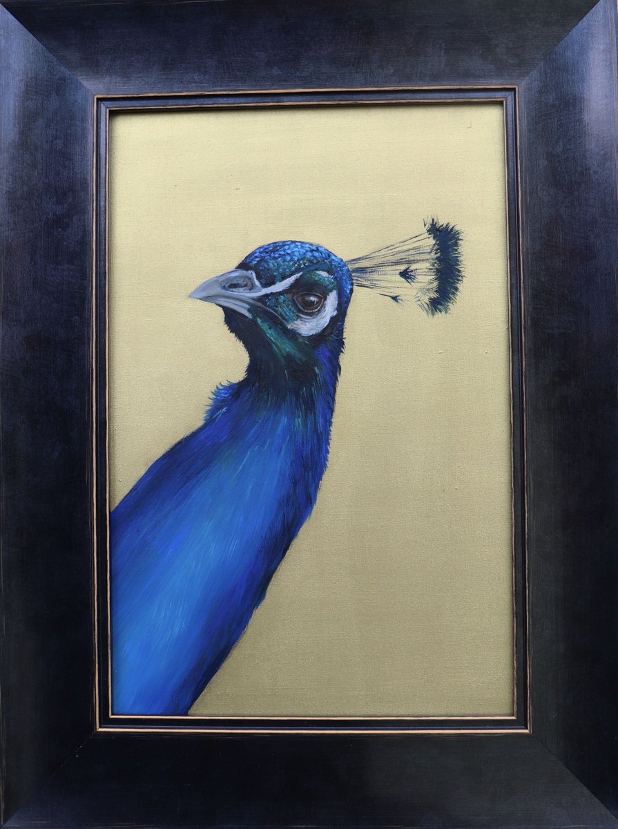 Peacock Portrait - Electric Blue by Alex Jabore