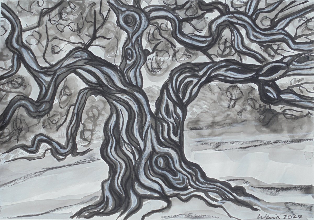Expressive Landscape Ink Drawing By Kirsty Wain, 23 X 17", Olive Tree 9, Original Artwork