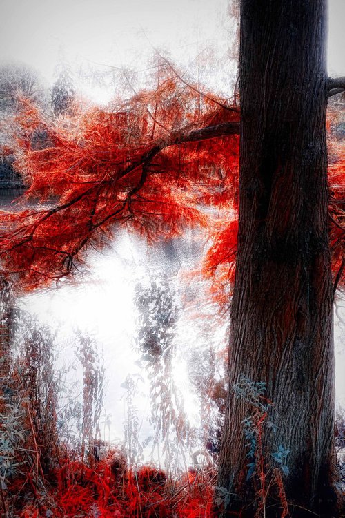 The Red Tree III by Neil Hemsley