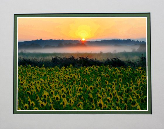 Sunflowers at Sunrise