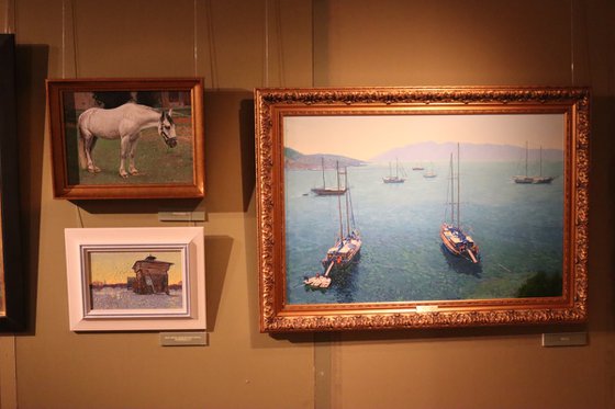 The Yachts