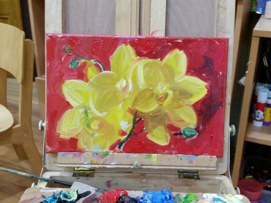 yellow orchid