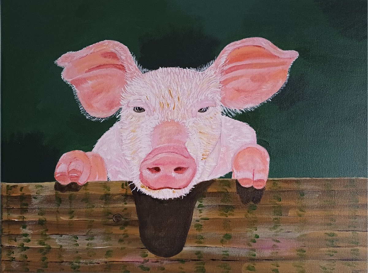 Photorealistic Animal Acrylic Painting By Corinne Hamer, 16 X 12, Cute Pig, Original Artwork