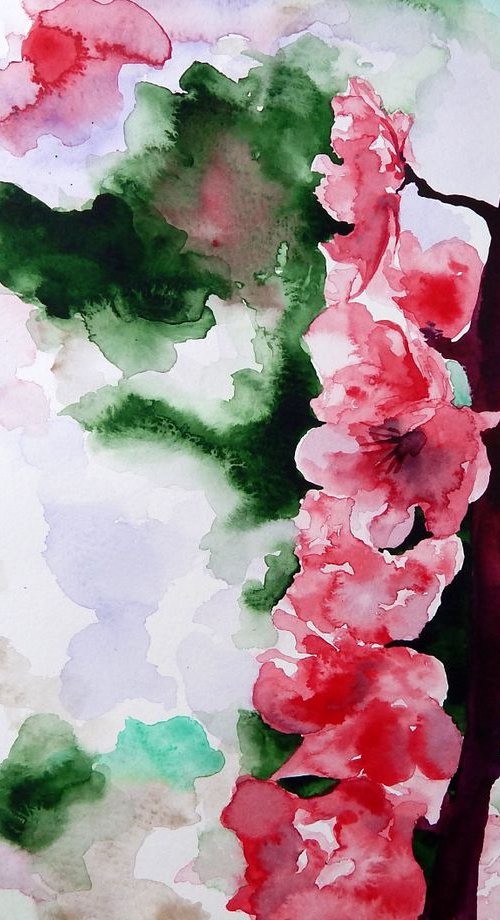 Crab apple blossom by Richard Freer