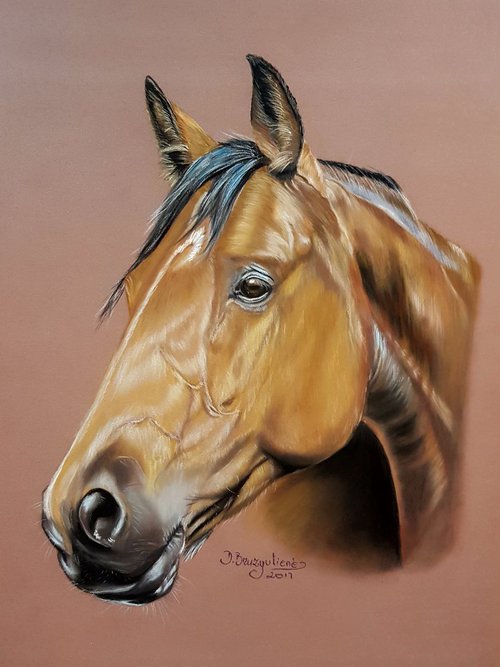 Pastel painting on Paper ,, Horse Aristo'' by Deimante Bruzguliene