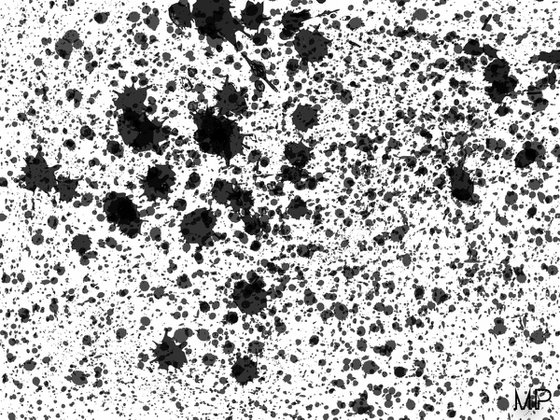 BLACK POLLOCK