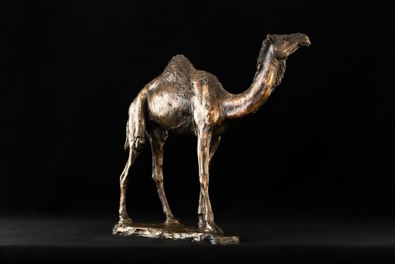 Camel Foundry Bronze sculpture