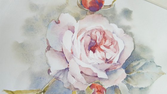 Rose in vintage style