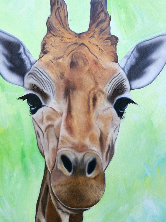 You've Got Some Neck. Giraffe Painting. Oil on Paper. 42cm x 59.4cm. Free Shipping