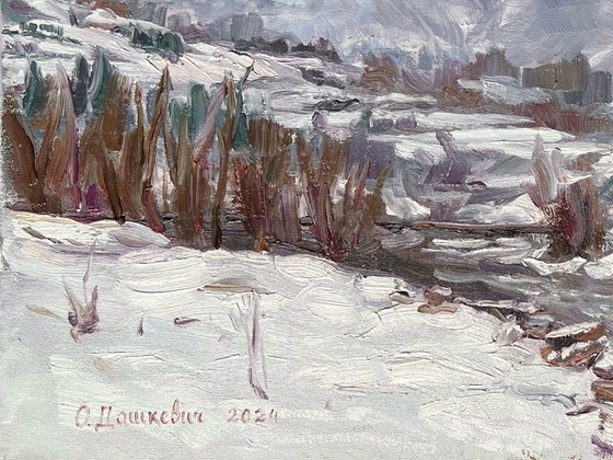 “River Opir, Slavske”