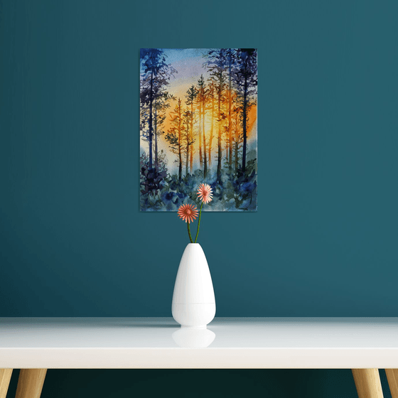 Sunset in the forest