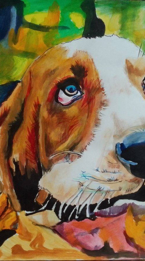 Bassethound by Soso Kumsiashvili