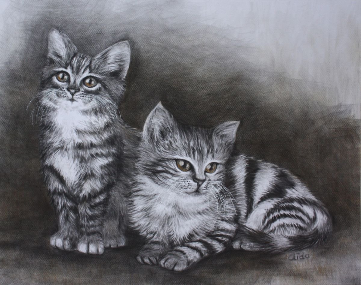 Two cats by Aida Taha