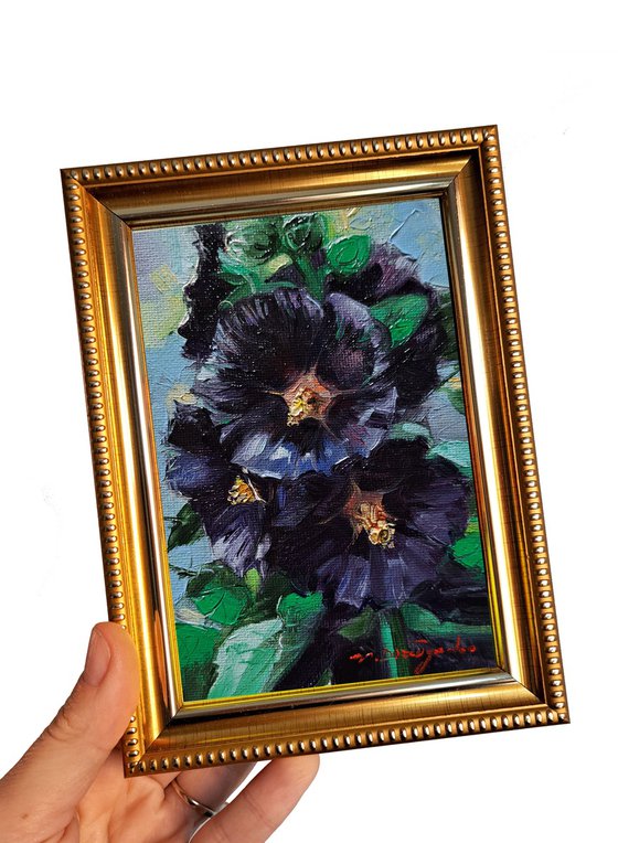 Black Hollyhock