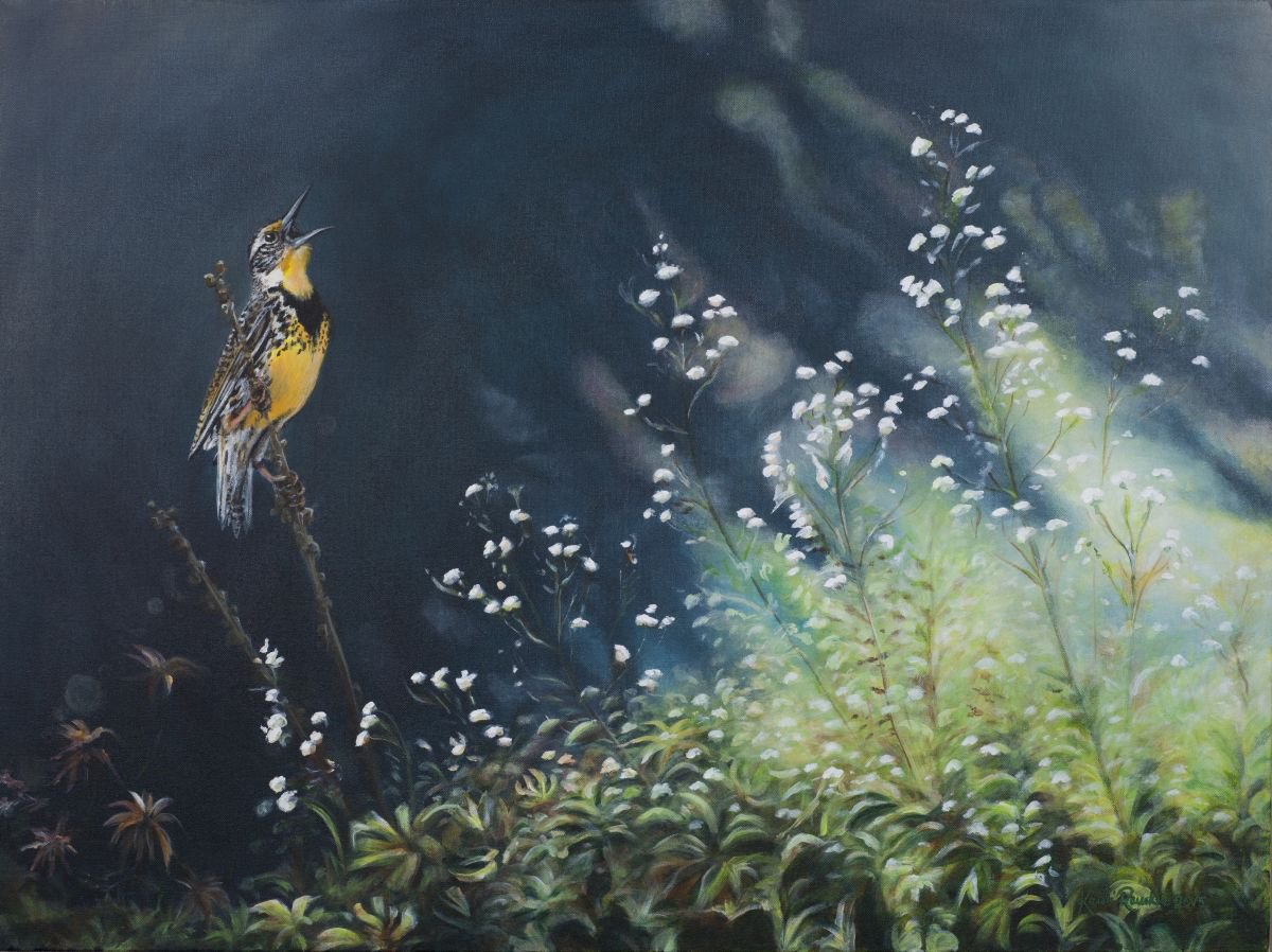 Meadowlark Music by Kristi Rauckis Artfinder