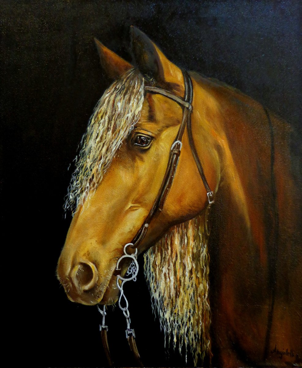 Photorealistic Animal Painting By Anna Rita Angiolelli, 20 X 24, Horse - Portrait, Original Artwork