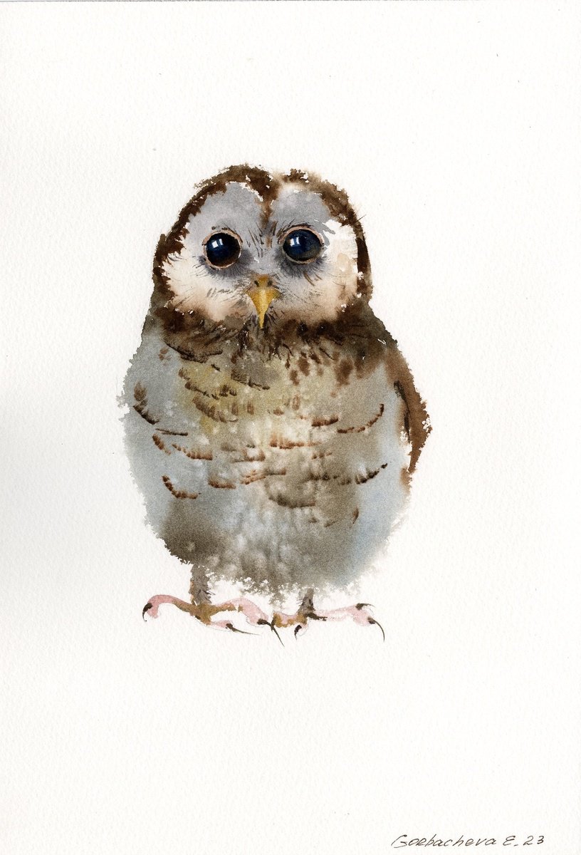 Little owl #2 by Eugenia Gorbacheva