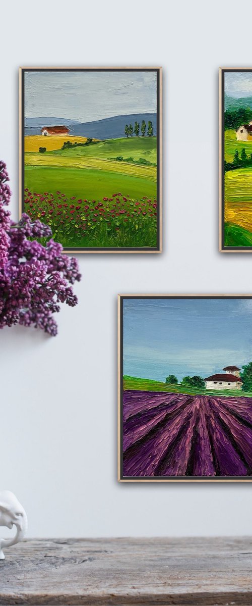 Tuscany landscapes by Amita Dand