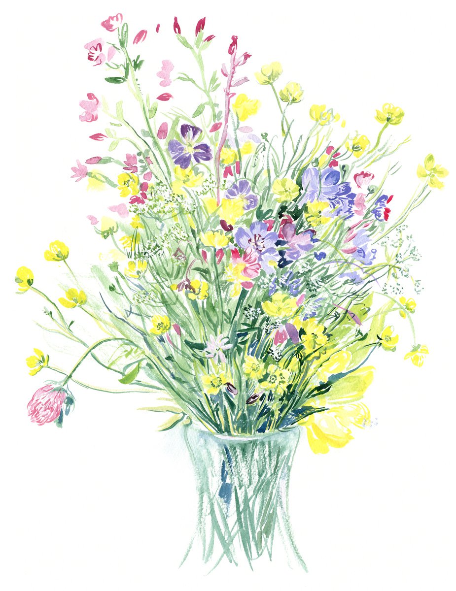 Photorealistic Botanical Watercolour By Daria Galinski, 12 X 16, Field Flowers On The White Background, Original Artwork