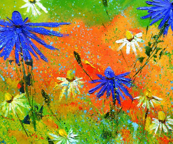 Wild flowers - 7723