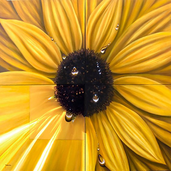 "Sunflower