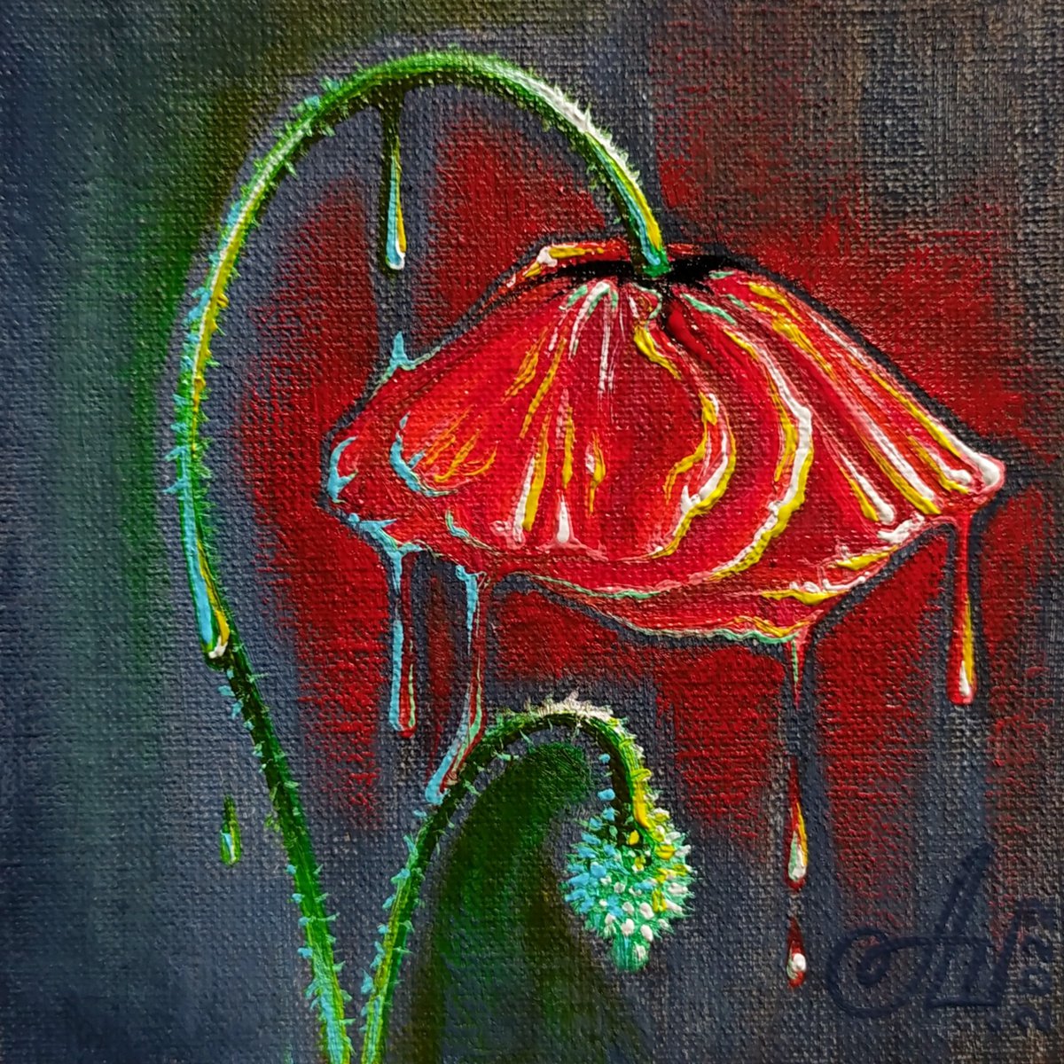 Poppy by Anna Shabalova