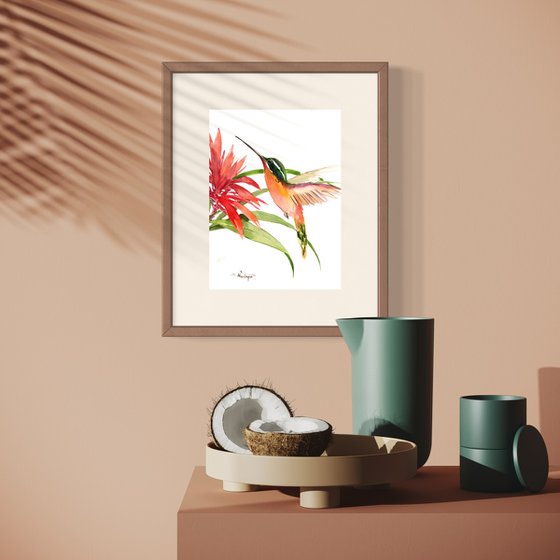 Hummingbird and Flower