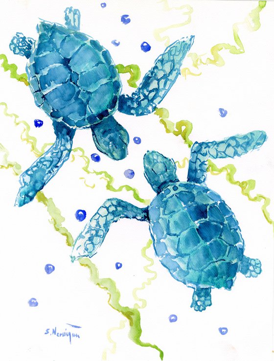 Sea Turtles Swimming