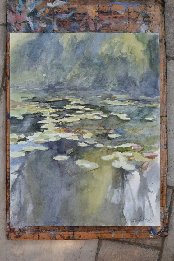 Water lilies 6