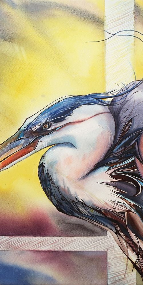 Great blue heron. by Alla Vlaskina