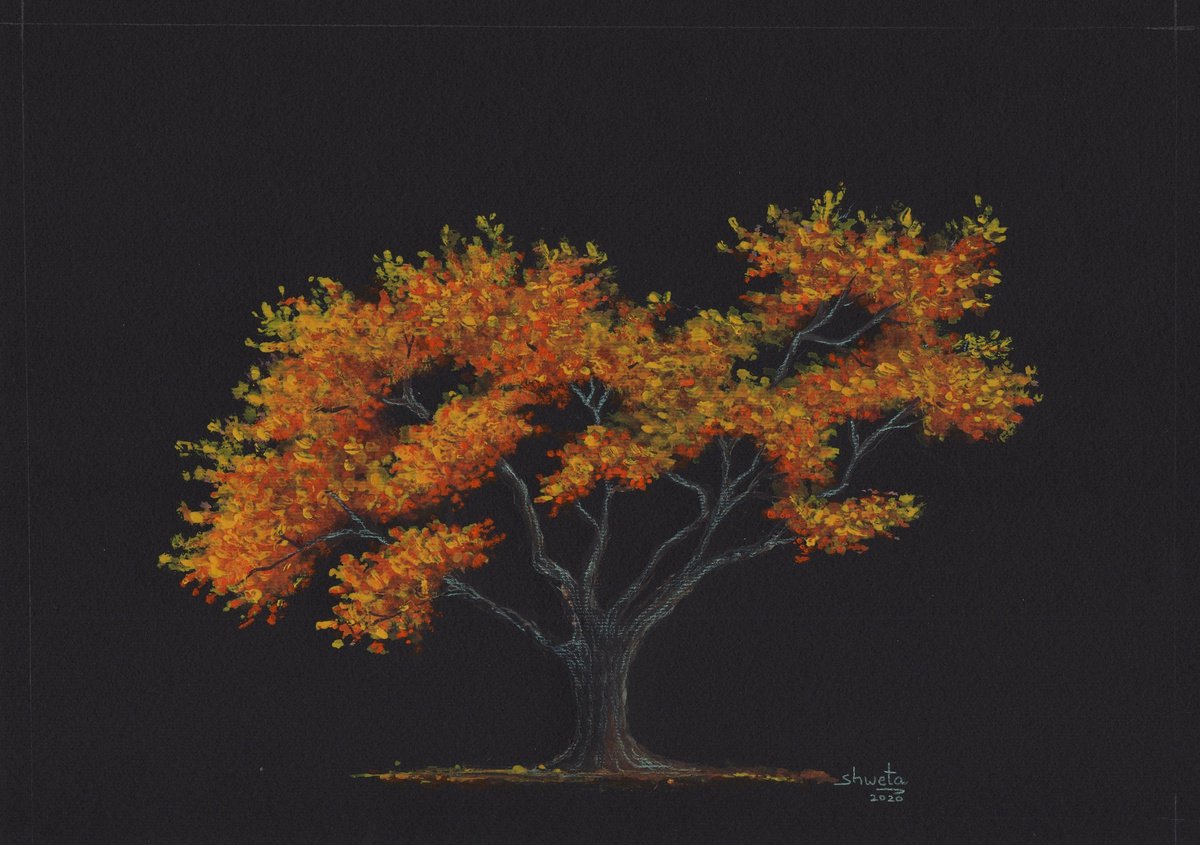 Flame Tree Watercolor Painting by Shweta Mahajan