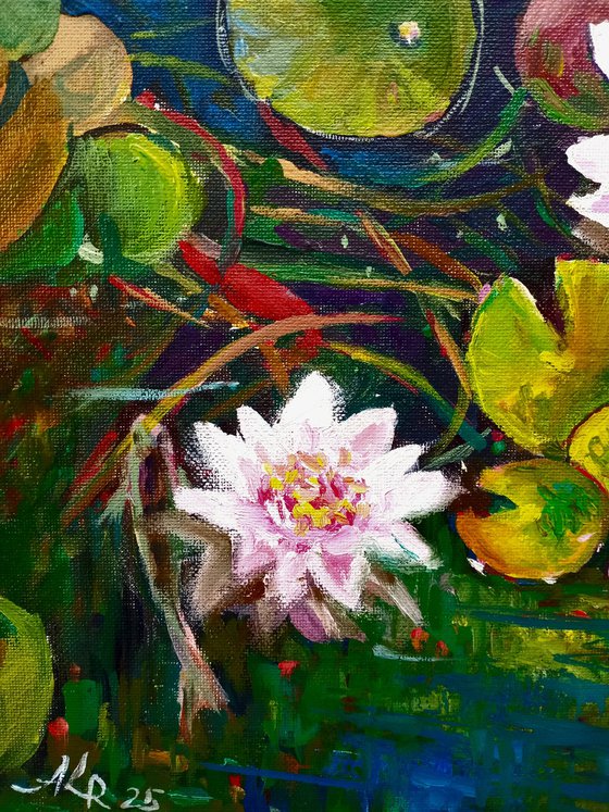 Water Lilies. Pond