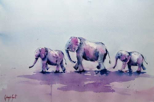 elephant 9 by Giorgio Gosti