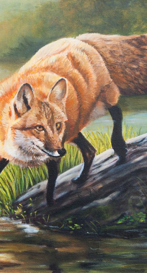 Fox in the river by Norma Beatriz Zaro