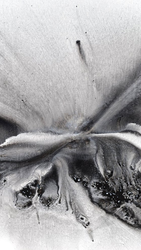 Nature 579 — Abstract Windswept Feather