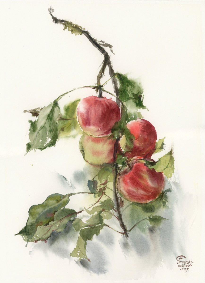 Impressionistic Still Life Watercolour By Tatyana Tokareva, 11 X 15", Apple Tree Branch, Original Artwork
