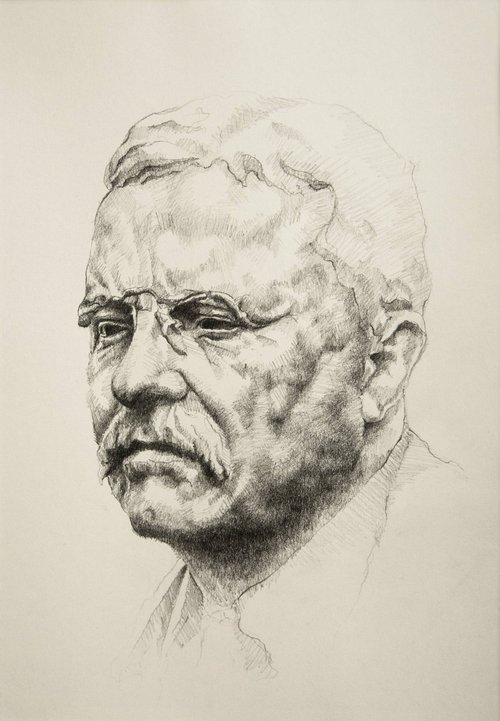 Portrait of Theodore Roosevelt by Onur Karaalioğlu