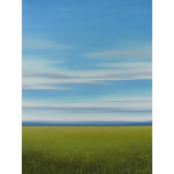 Verdant Grass - Blue Sky Landscape