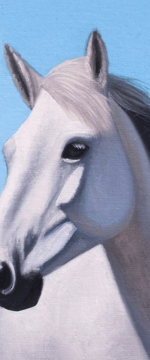 Horse portrait 40 by Anastasia Parfilo