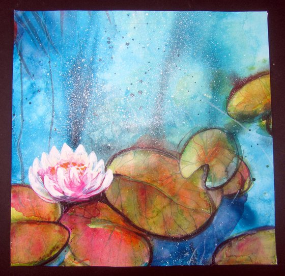 Waterlilies #5