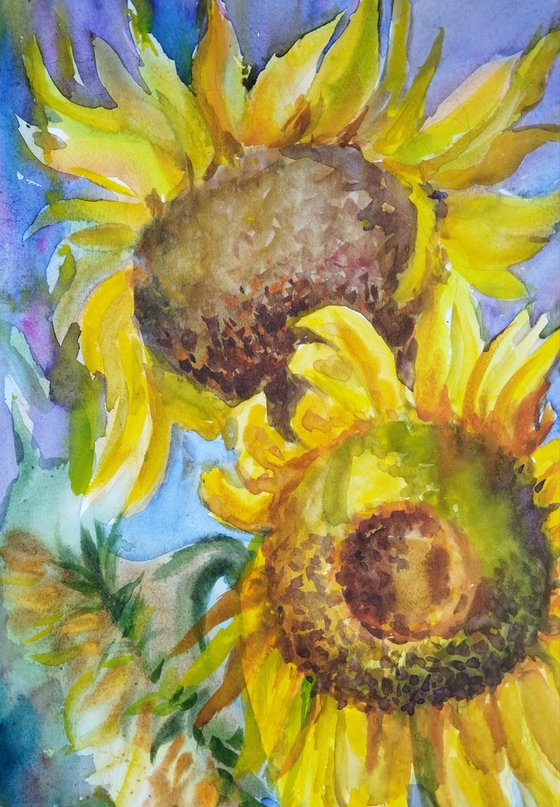 Among the Sunflowers