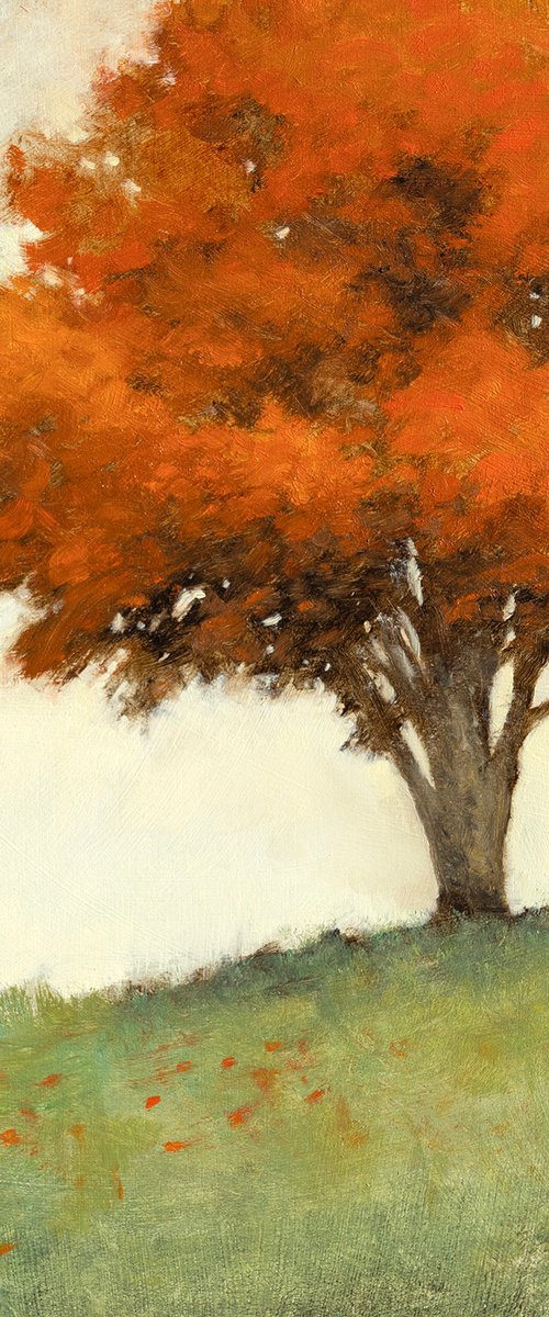 Red Maple 251104 by Don Bishop