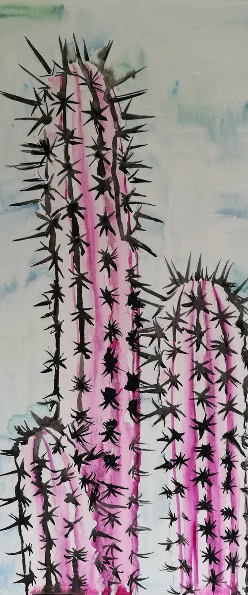 Pink and Spiky  ( pink & black cactus) ( on paper ) Free Shipping by Steven Shaw